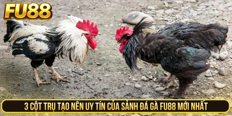 3 cột trụ tạo nên uy tín của sảnh đá gà FU88 mới nhất