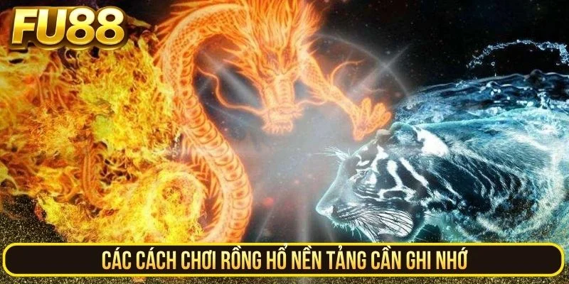 Các cách chơi Rồng Hổ nền tảng cần ghi nhớ