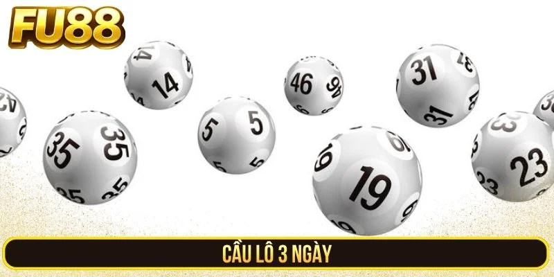 Cầu Lô 3 Ngày - Giải Mã Chiến Thuật Nuôi Khung Từ Chuyên Gia