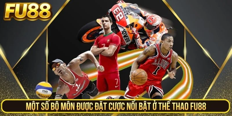Một số bộ môn được đặt cược nổi bật ở thể thao FU88